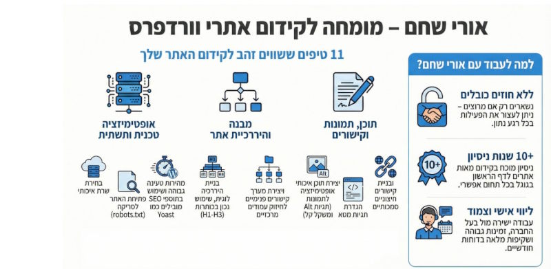 מומחה לקידום אתרי וורדפרס אינפוגרפיקה